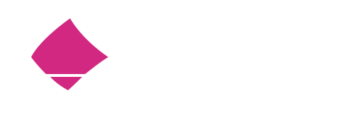 Logo INE